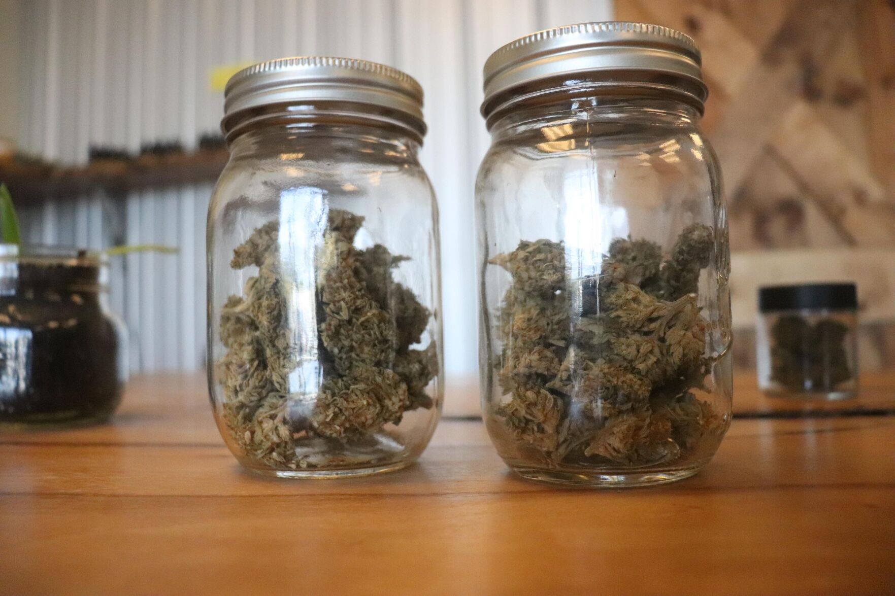 CannaBetter Farm ILB 02
